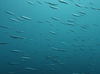 60d8bab6-d961-4cfd-921a-8f57e2f464f6.jpg