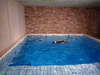 pool1.jpg