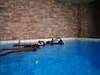 pool14.jpg