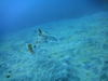2012.1.18 021.jpg