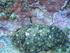 2012.1.18 034.jpg