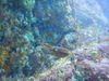 2012.1.18 036.jpg
