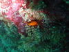 2012.2.26 008.jpg