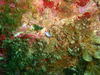 2012.2.26 013.jpg