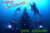 2016_xmas_tree-y.jpg