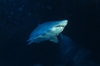 3896914_s.jpg