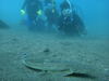 DSC00582.JPG