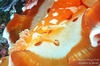 DSC00764-scaled.jpg