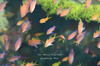 DSC_3384-scaled.jpg