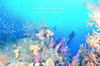 DSC_5464-scaled.jpg