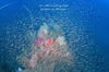 DSC_5553-scaled.jpg