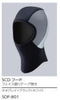 Hood series-SCD.jpg
