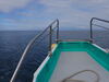 P2180005.JPG