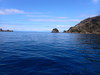 P3190003.JPG