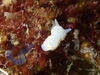 P4200078.JPG