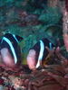 PA050135.JPG