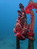 PA060176.JPG