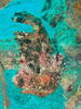 PA120030.JPG
