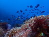 PA220105.JPG