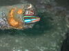 PB200066.JPG