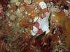 PC050059.JPG