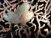 PC110016.JPG