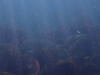 PC110033.JPG