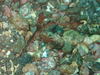 PC110057.JPG