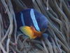 PC290079.JPG