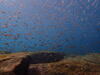 PC290105.JPG