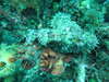 enoura14.jpg