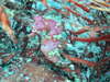enoura9.jpg