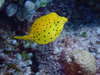 image1.jpg