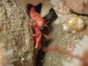 image12.jpg