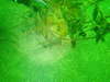line_oa_chat_200725_054043.jpg