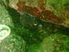 line_oa_chat_200725_054047.jpg