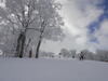 nozawa1.jpg