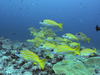 palau3.JPG