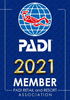 renewal-decal.jpg
